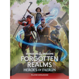 Dungeons & Dragons: Forgotten Realms - Heroes of Faerûn