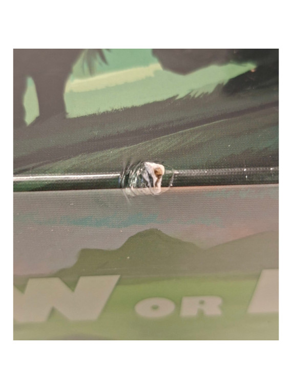 Now or Never (Damaged)