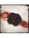 Black Rose Wars