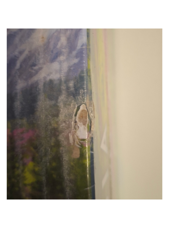 Cascadia: Alpine Lakes (Damaged)