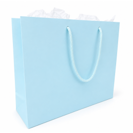 Large Gift Bag