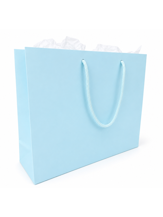 Large Gift Bag