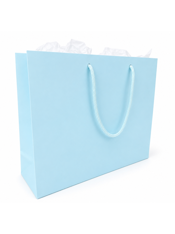 Large Gift Bag