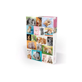 Cute Kittens (1000 Pieces)