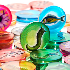 Acrylic Wingspan + Expansion Token Set