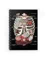 Anatomy of the DM Spiral Notebook