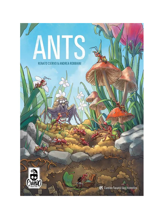 Ants