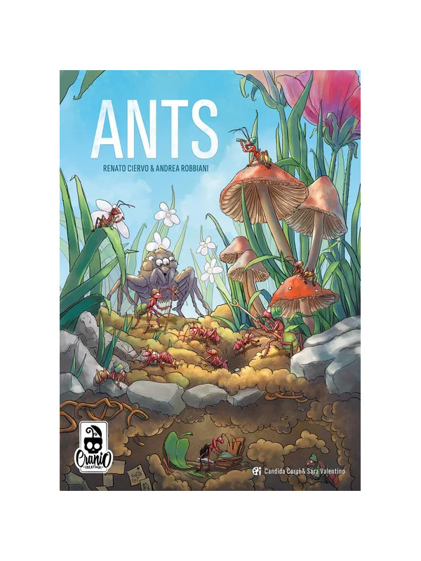 Ants