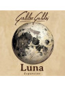 Galileo Galilei: Luna