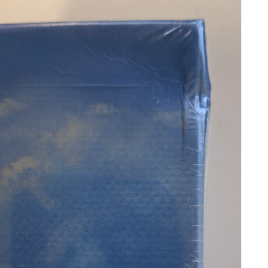 Ready Set Bet (Damaged)